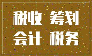 税收 筹划_会计 税务