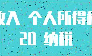 收入 个人所得税_20 纳税
