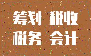 筹划 税收_税务 会计