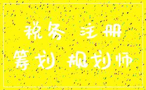 税务 注册_筹划 规划师