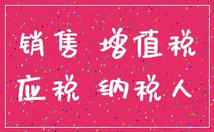 销售 增值税_应税 纳税人