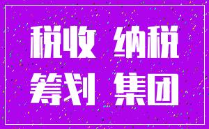 税收 纳税_筹划 集团